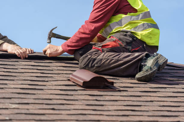 Best Roof Gutter Cleaning  in Wadena, MN