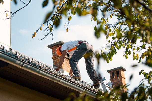 Best Residential Roofing Contractor  in Wadena, MN