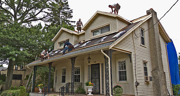 Best Metal Roofing Contractor  in Wadena, MN