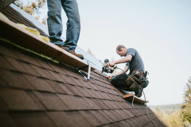 Quick and Trustworthy Emergency Roof Repair Services in Wadena, MN