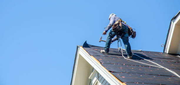 Best Roof Repair Services  in Wadena, MN